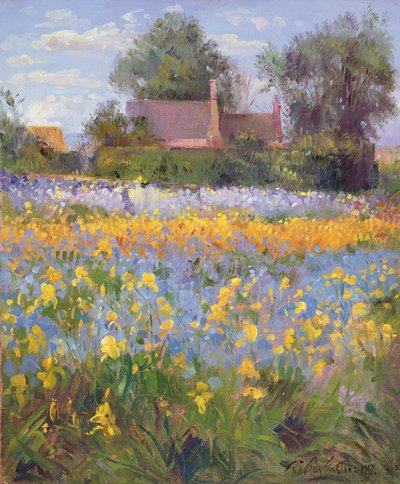 アイリスフィールドに囲まれたコテージ 作： Timothy Easton